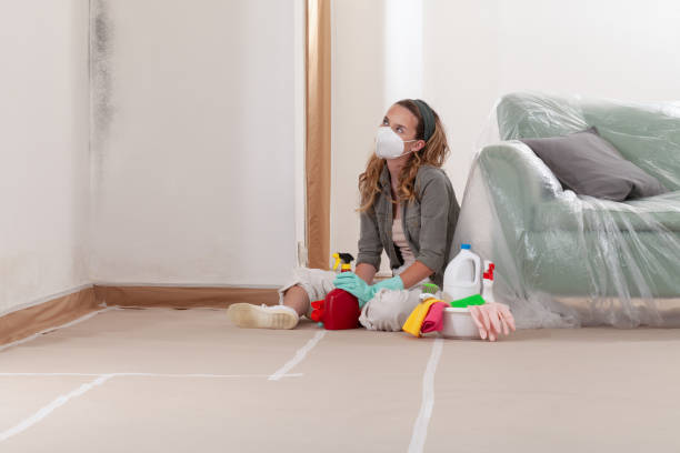 Reliable Mold Remediation contractor in Aurora, CO by WQB Mold Removal